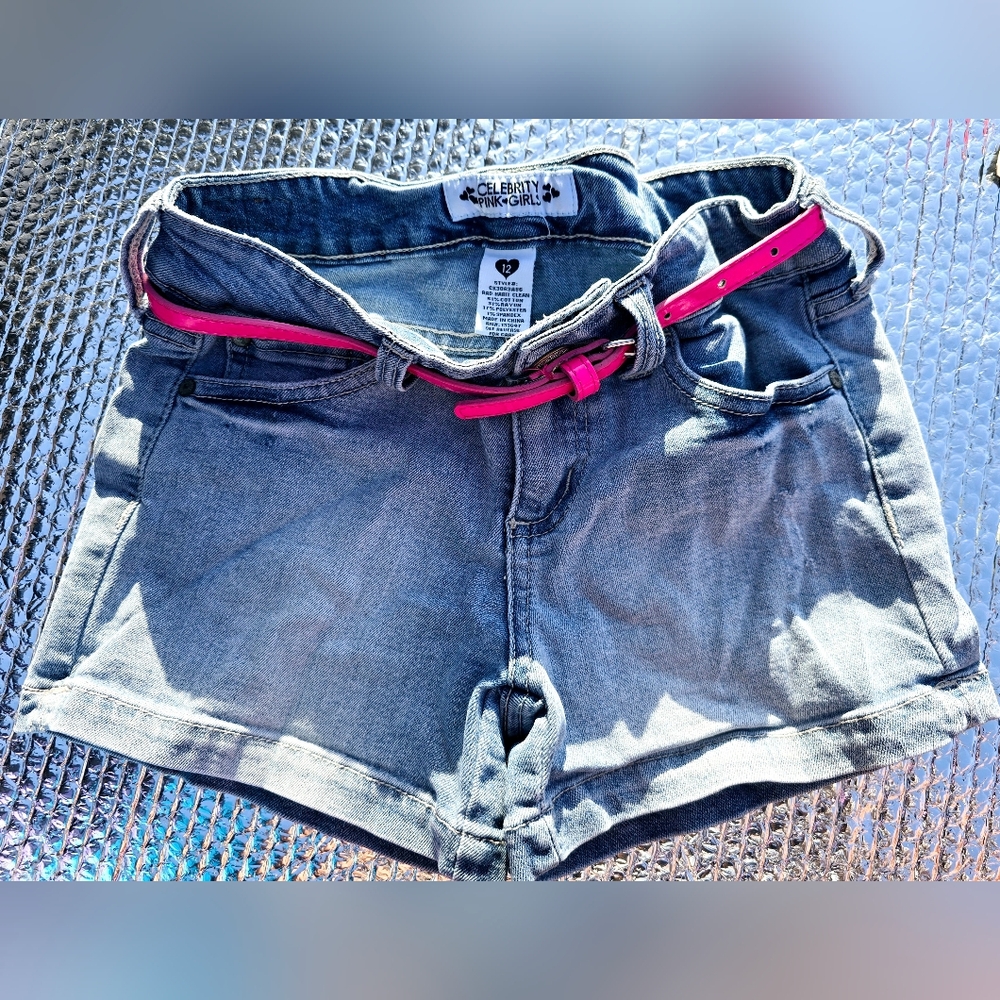 Celebrity Pink Gray and Pink Jean Shorts Distressed Style